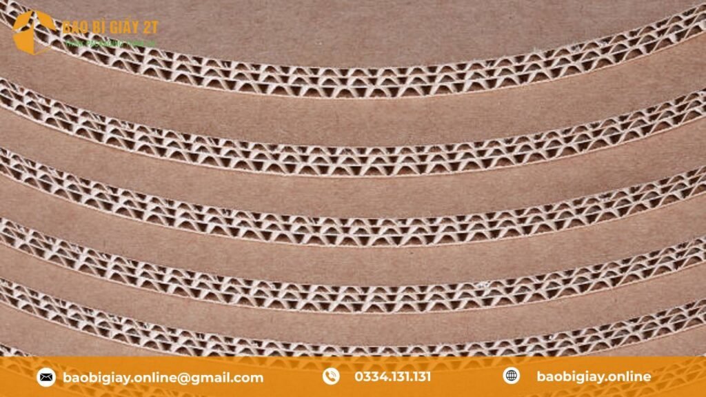 Đặc điểm cấu tạo, nhận dạng