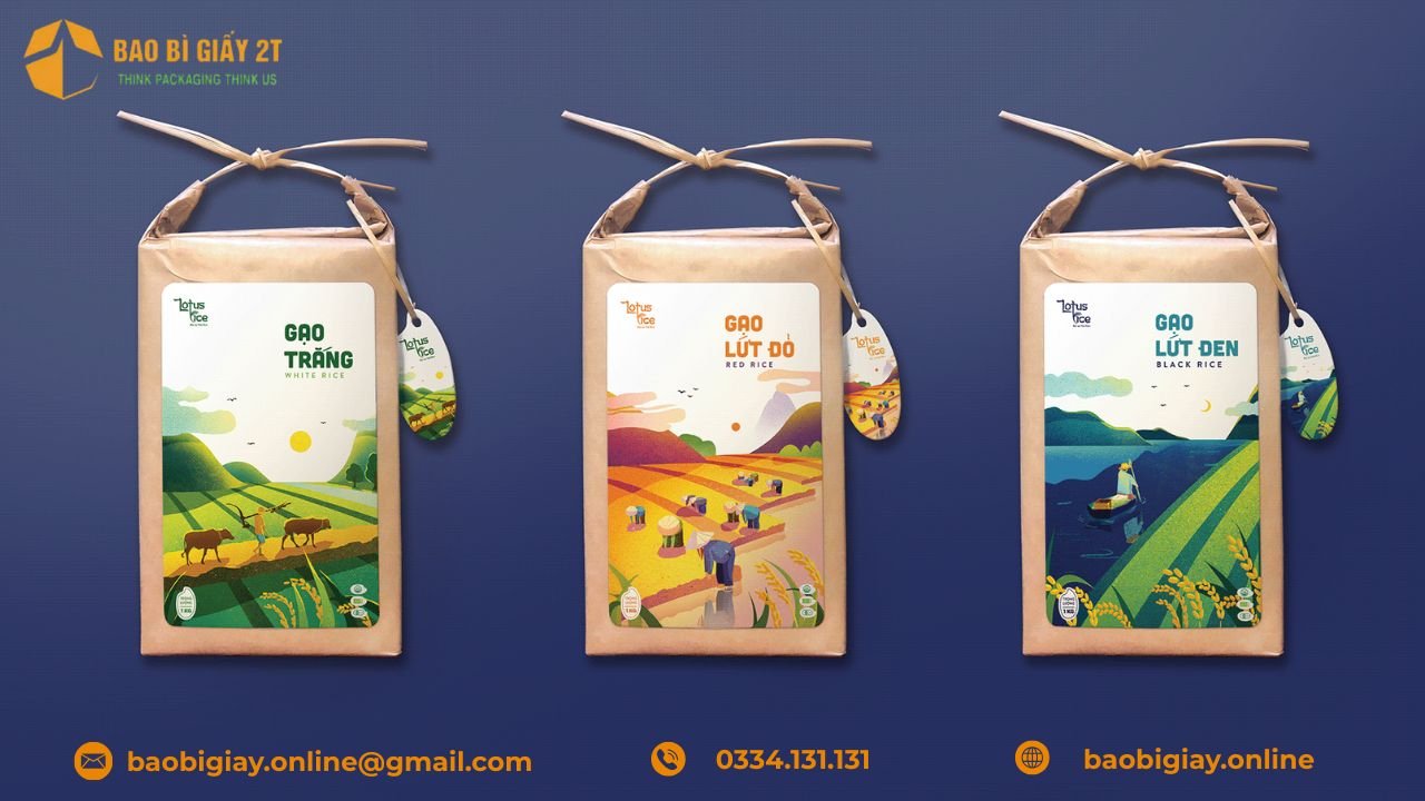 TOP 10 mẫu bao bì giấy gạo