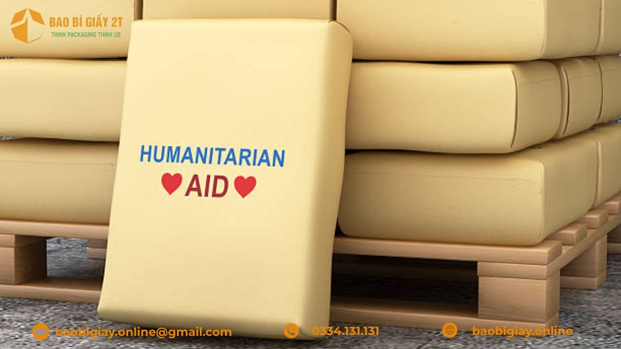 TOP 10 mẫu bao bì giấy gạo