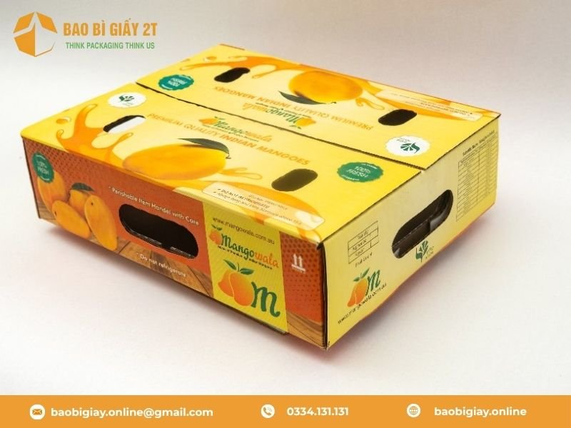 Một số mẫu bao bì giấy xuất khẩu đẹp