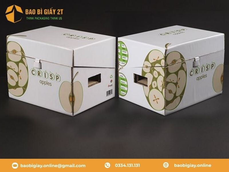 Một số mẫu bao bì giấy xuất khẩu đẹp