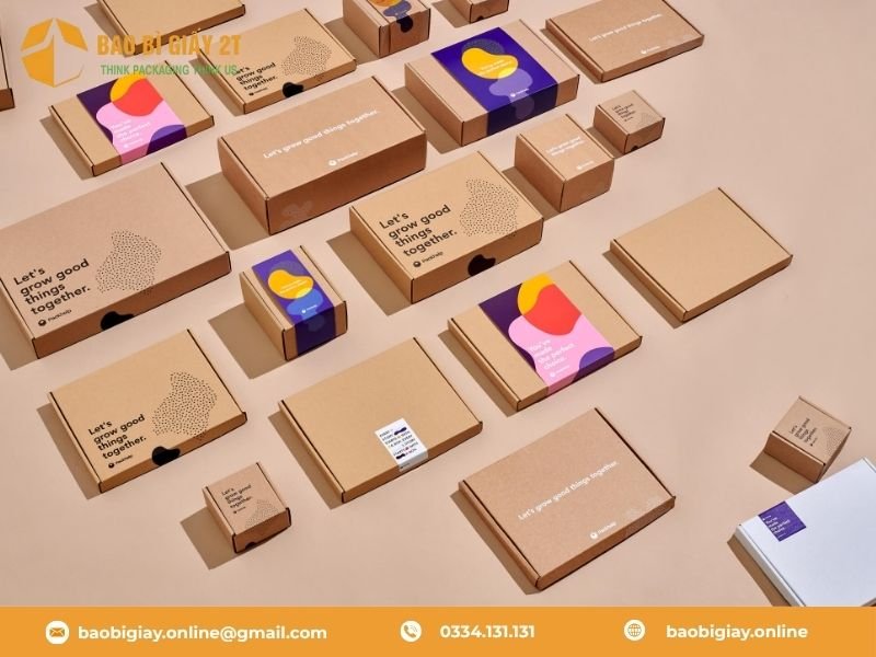 15 mẫu bao bì hộp giấy có thiết kế đẹp, chất lượng