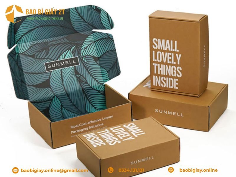 Một số mẫu thùng carton in logo đẹp