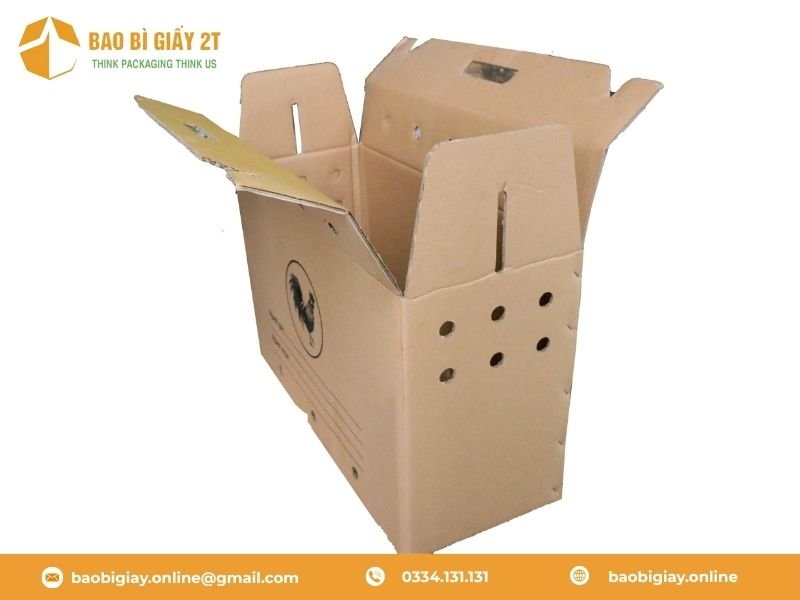 Đặc điểm của thùng đựng gà đá