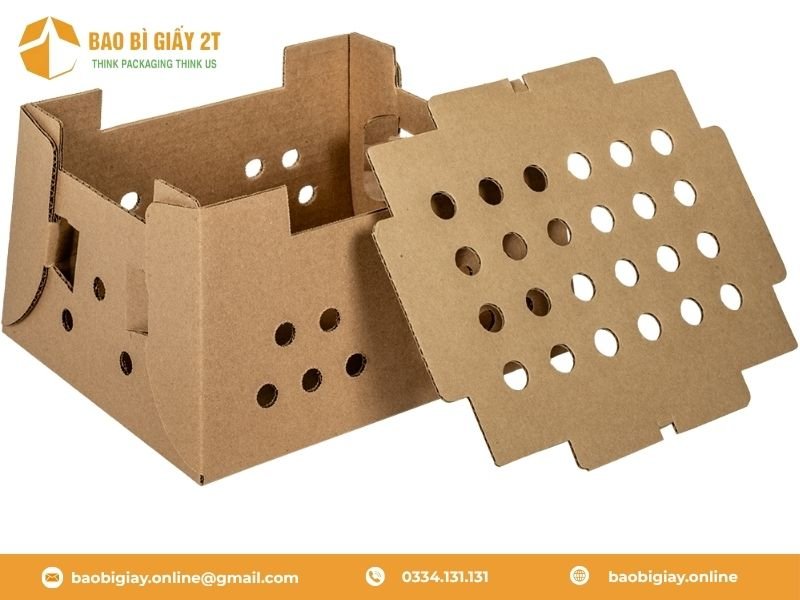 Đặc điểm thùng giấy đựng gà con
