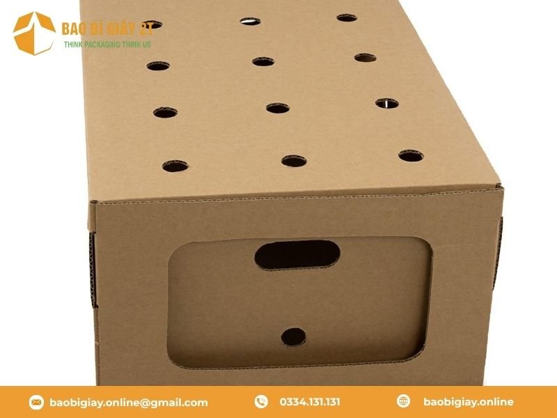 Đặc điểm thùng carton đựng gà