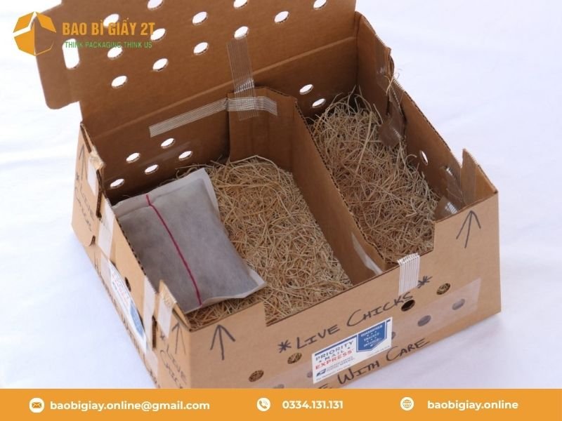 Đặc điểm thùng giấy đựng gà con