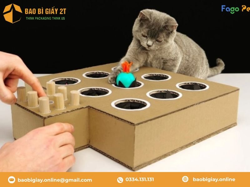 Tái chế thùng carton làm đồ chơi cho Quàng Thượng