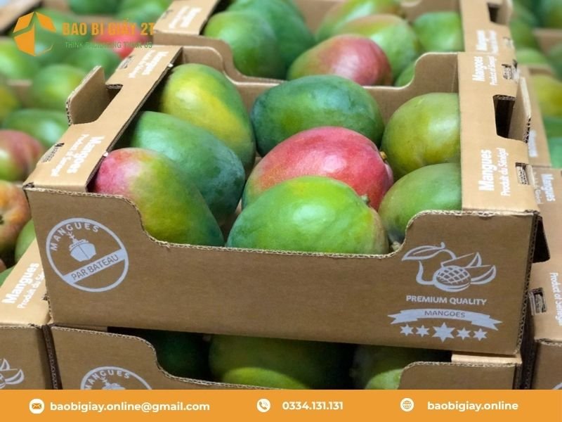 Lợi Ích Của Việc Sử Dụng Thùng Carton Đóng Gói Xoài Xuất Khẩu