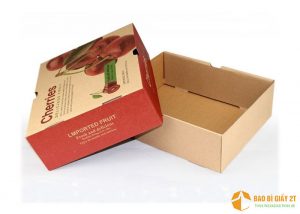 Thùng carton nắp rời được in ấn bắt mắt