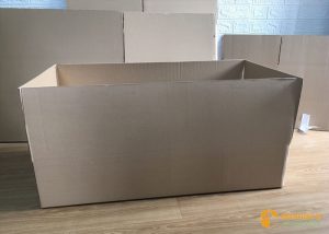 Thùng carton mẫu gửi khách