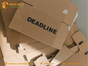 Bảng Giá Thùng Carton - Cập Nhật Mới Nhất 2025