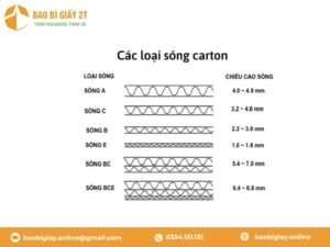 Các lớp giấy sóng phổ biến hiện nay