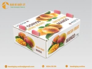 Thùng Carton Đựng Xoài Xuất Khẩu Việt Nam Đột Phá Thị Trường Quốc Tế