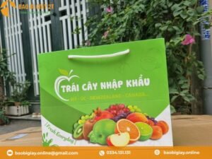 Túi giấy in offset với màu sắc bắt mắt