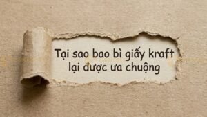 Tại sao bao bì giấy Kraft lại được ưa chuộng đến vậy?